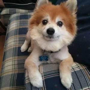 Meet your Posher, Kristie